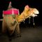 Alice the Camel - Walkabout Puppet Entertainer