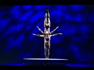 Zed - Non-Binary Aerial Art - Aerialist