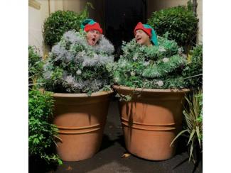 Bread's Green Finger Folk - Roaming comic plant pots - Walkabout 