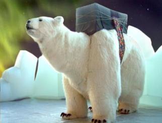 Bjorn the Polar Bear - Walkabout Roaming Entertainer