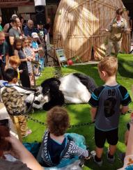 ChiChi the Panda - Playful Pandas Up Close - Walkabout Entertainers