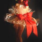 Bolli's Edibles - Wrapper Girl - Walkabout Entertainer