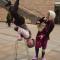 The UK's oldest acrobats - The UK's oldest acrobats - comedy walkabout entertain