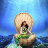 Curious Mermaid - The Perfect Siren for your Water Themed Events - Installation