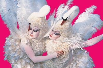 Bolli Darling - Sumptuous Swans - Stilt Walkers - Walkabout